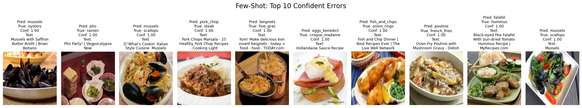 Few Shot Top 10 Errors