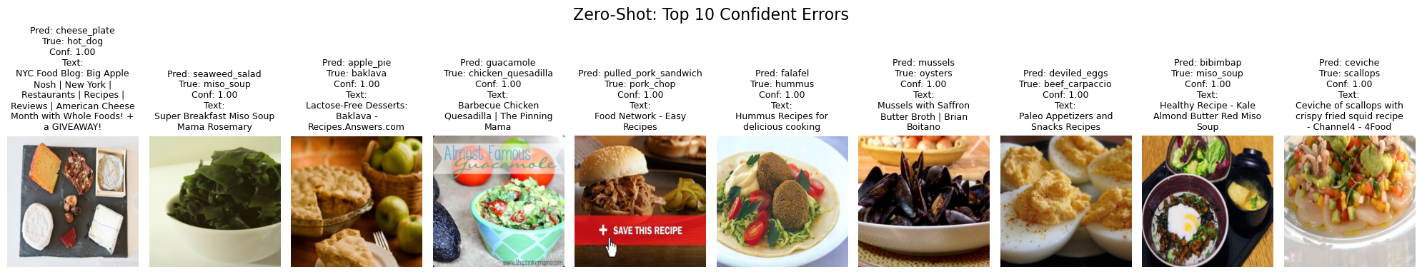 Zero Shot Top 10 Errors